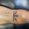 Tattoo by Alex